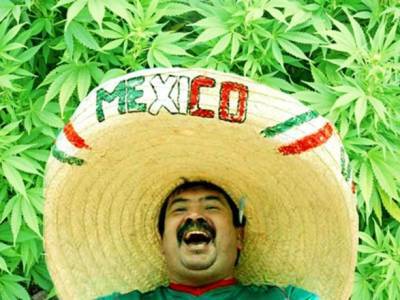 Верховный суд Мексики одобрил использование марихуаны для отдыха - unn.com.ua - Украина - Киев - Мексика