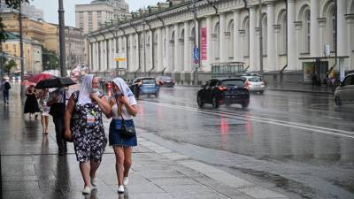 Синоптики предупредили москвичей о дождях и грозе 29 июня - vm.ru - Москва - Московская обл.
