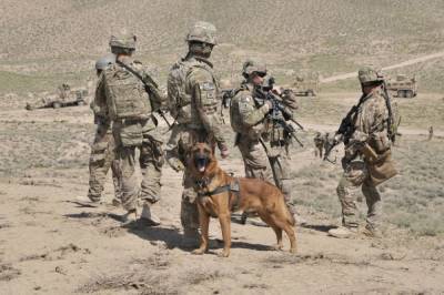 Скотт Миллер - Командующий силами США и НАТО в Афганистане обеспокоен действиями талибов - aif.ru - Россия - США - Афганистан