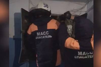 Спасатели освободили застрявшую в электрощите кошку в Новосибирске - novos.mk.ru - Новосибирск