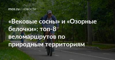 «Вековые сосны» и «Озорные белочки»: топ-8 веломаршрутов по природным территориям - mos.ru - Москва