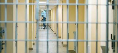 Три года лишения свободы грозит директору фирмы в Петрозаводске, который год не платил зарплату рабочим - stolicaonego.ru - Петрозаводск - республика Карелия