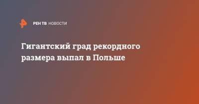 Гигантский град рекордного размера выпал в Польше - ren.tv - Швейцария - Франция - Польша - Европа