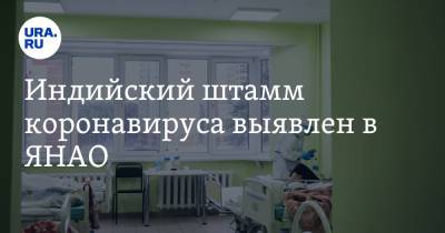 Индийский штамм коронавируса выявлен в ЯНАО - ura.news - Москва - окр. Янао