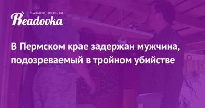 В Пермском крае задержан мужчина, подозреваемый в тройном убийстве - readovka.ru - Россия - Пермь - Пермский край - Ивановская обл.