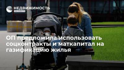 ОП предложила использовать соцконтракты и маткапитал на газификацию жилья - realty.ria.ru - Москва - Россия