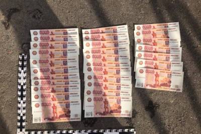 Брянские полицейские задержали двух двух тульских фальшивомонетчиц - mk.ru - Россия - Тамбовская обл. - Тульская обл. - Брянская обл.