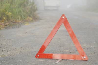 Под Тулой в результате наезда на дерево автомобилист скончался - tula.mk.ru - Тула - Тульская обл.