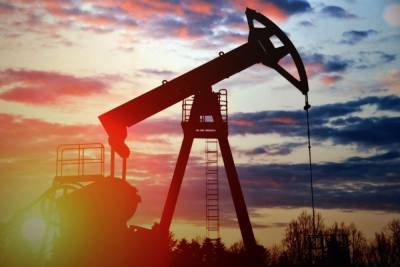 Цена российской нефти Urals на торгах превысила 75$ за баррель - mk.ru