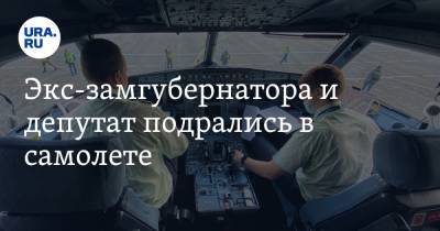 Экс-замгубернатора и депутат подрались в самолете. Они летели в Курган - ura.news - Москва - Курган