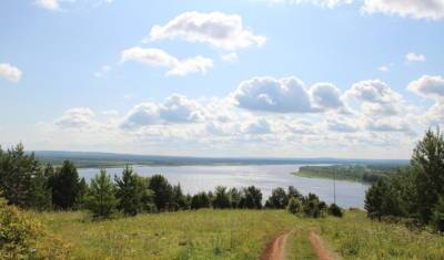Из-за гибели краснокнижних пеликанов в Тюменской области ввели карантин - nashgorod.ru - Тюменская обл.
