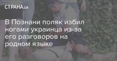 В Познани поляк избил ногами украинца из-за его разговоров на родном языке - strana.ua - Украина - Польша - Познань