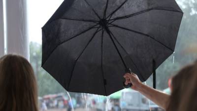 Михаил Леус - Синоптики спрогнозировали дожди в Петербурге 29 июня - inforeactor.ru - Ленинградская обл. - Санкт-Петербург - Московская обл.