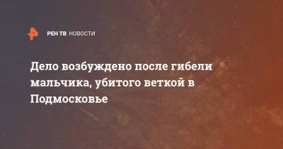 Ольга Врадий - Дело возбуждено после гибели мальчика, убитого веткой в Подмосковье - ren.tv - Россия - Московская обл. - Московская область