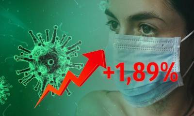 Динамика коронавируса на 29 июня - bloknot.ru - Москва - Россия - США