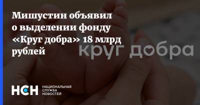 Михаил Мишустин - Мишустин объявил о выделении фонду «Круг добра» 18 млрд рублей - nsn.fm - Россия