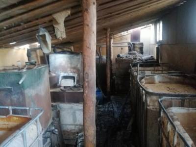 Подпольный самогон. В Гродненском районе изъято свыше 4-х тонн браги - grodnonews.by - Белоруссия - район Гродненский