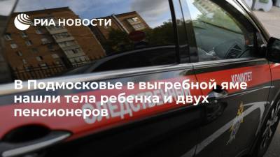 Ольга Врадий - В Подмосковье в выгребной яме нашли тела трехлетней девочки и двух пенсионеров - ria.ru - Москва - Россия - Московская обл.