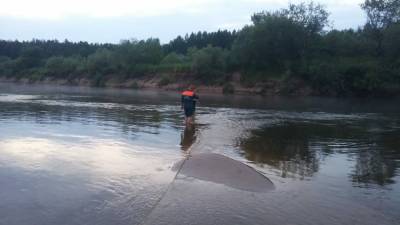 Поиски пропавшего во время купания 12-летнего мальчика ведут спасатели в Варнавинском районе - vgoroden.ru - Россия - Нижегородская обл.