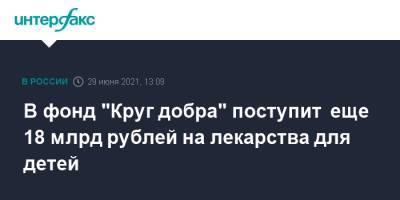 Владимир Путин - Михаил Мишустин - В фонд "Круг добра" поступит еще 18 млрд рублей на лекарства для детей - interfax.ru - Москва