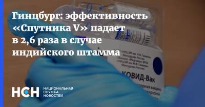 Александр Гинцбург - Гинцбург: эффективность «Спутника V» падает в 2,6 раза в случае индийского штамма - nsn.fm - Россия