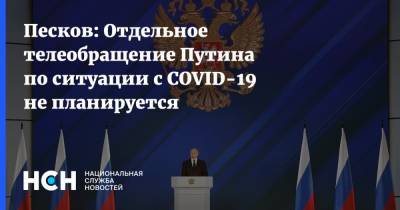 Владимир Путин - Дмитрий Песков - Песков: Отдельное телеобращение Путина по ситуации с COVID-19 не планируется - nsn.fm - Россия
