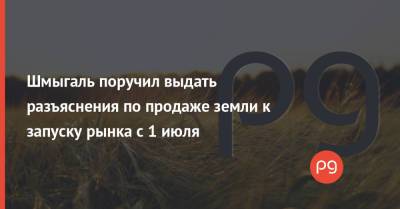 Денис Шмыгаль - Шмыгаль поручил выдать разъяснения по продаже земли к запуску рынка с 1 июля - thepage.ua - Украина