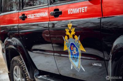 Подмосковный СК завел дело после гибели ребенка под веткой дерева - news.vse42.ru - Россия - Московская обл.