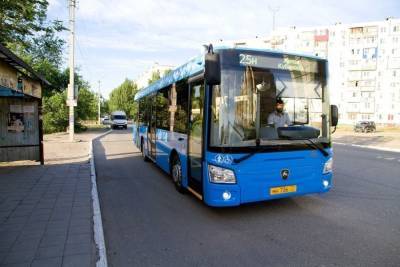 В Астрахани могут исчезнуть синие автобусы из Москвы - ast.mk.ru - Москва - Астрахань - Самара