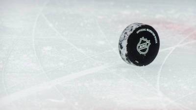 Бэй Лайтнинг - Луис Блюз - Гэри Беттмэн - НХЛ сообщила о месте проведения Матча всех звёзд - russian.rt.com - штат Теннесси - шт. Миннесота