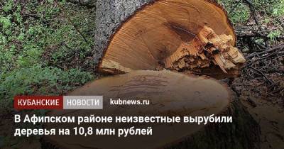 В Краснодарском крае неизвестные вырубили деревья на 10,8 млн рублей - kubnews.ru - Россия - Краснодарский край - Новороссийск - Апшеронск - район Северский