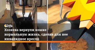 Хозяева вернули кошке нормальную жизнь, сделав для нее инвалидное кресло - ridus.ru - США - шт. Массачусетс