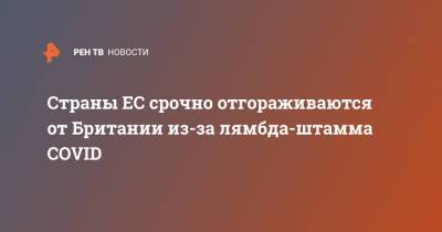 Страны ЕС срочно отгораживаются от Британии из-за лямбда-штамма COVID - ren.tv - Англия - Лондон - Португалия