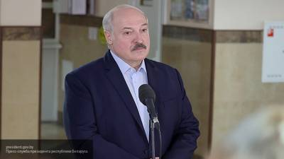 Александр Лукашенко - Психолог из Риги рассказала, что думают в Латвии об Александре Лукашенко - newinform.com - Белоруссия - Рига - Латвия