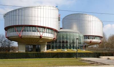 Дмитрий Аграновский - ЕСПЧ спустя 16 лет присудил 22,5 тыс. евро осужденным за акцию в здании Минздрава - newizv.ru