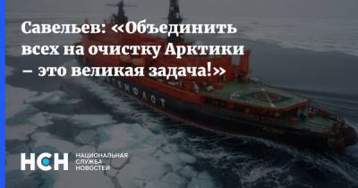 Савельев: «Объединить всех на очистку Арктики – это великая задача!» - nsn.fm - Россия - Арктика