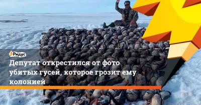 Александр Крамаренко - Депутат открестился от фото убитых гусей, которое грозит ему колонией - ridus.ru - Россия - Магадан - Чукотка