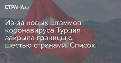 Из-за новых штаммов коронавируса Турция закрыла границы с шестью странами. Список - strana.ua - Украина - Турция