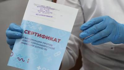 Александр Хинштейн - В Госдуме рассказали, чем грозит подлог документов о вакцинации - dp.ru - Россия