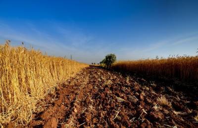 Названы причины отказа нотариусов в регистрации права на сельхозземлю - agroportal.ua - Украина