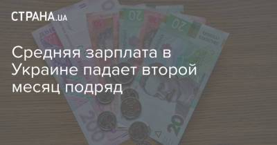 Галина Третьякова - Средняя зарплата в Украине падает второй месяц подряд - strana.ua - Украина