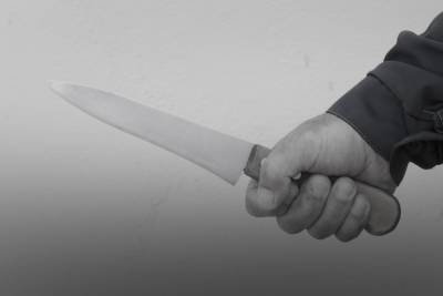 В Алексине пьяный мужчина зарезал бывшую жену - tula.mk.ru - Тульская обл.