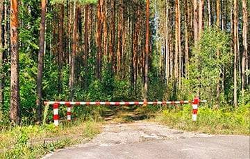 В 13 районах Беларуси продолжает действовать запрет на посещение лесов - charter97.org - Белоруссия - район Гомельский - район Гродненский