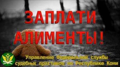 В Усть-Куломском районе Коми арестован должник по алиментам - komiinform.ru - Россия - респ. Коми - район Усть-Куломский
