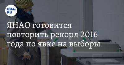 ЯНАО готовится повторить рекорд 2016 года по явке на выборы - ura.news - Россия - окр. Янао
