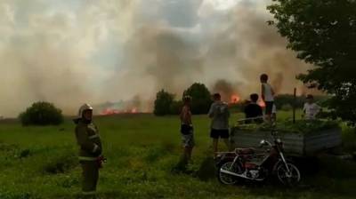 Мощный пожар случился на болотах у воронежского села: появилось видео - vestivrn.ru - Воронеж - Воронежская обл.