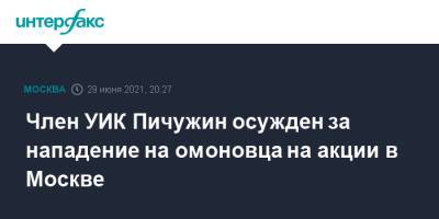 Алексей Навальный - Член УИК Пичужин осужден за нападение на омоновца на акции в Москве - interfax.ru - Москва - Россия