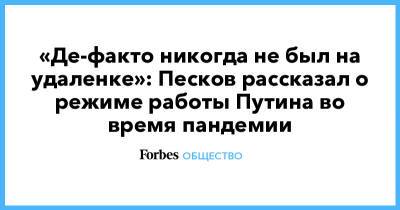 Владимир Путин - Дмитрий Песков - «Де-факто никогда не был на удаленке»: Песков рассказал о режиме работы Путина во время пандемии - forbes.ru - Россия
