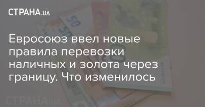 Евросоюз ввел новые правила перевозки наличных и золота через границу. Что изменилось - strana.ua