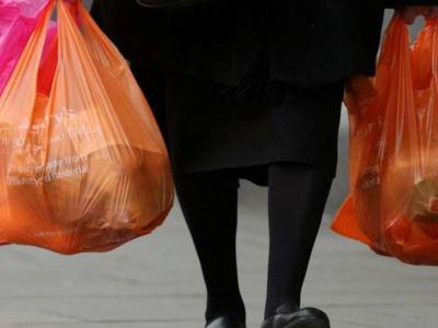 Экологи предупредили о последствиях запрета пластиковых пакетов - lenta.ua - Запрет